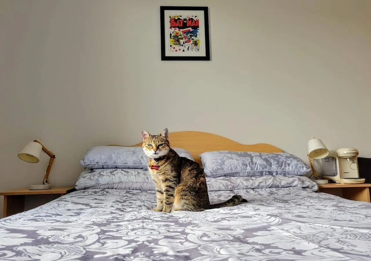 Central Stay With Free Parking Private Room In Shared Flat Galway